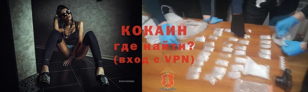 твердый Новодвинск