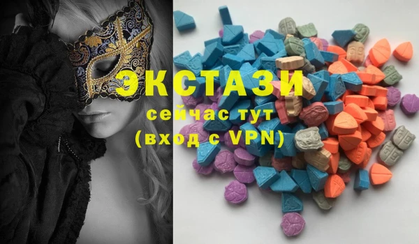 стаф Ельня