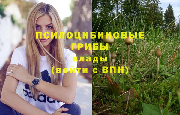 СК Заволжье