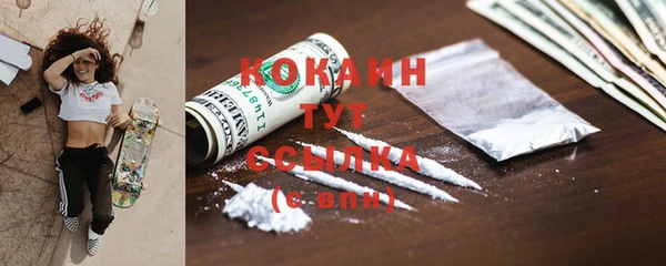 твердый Новодвинск