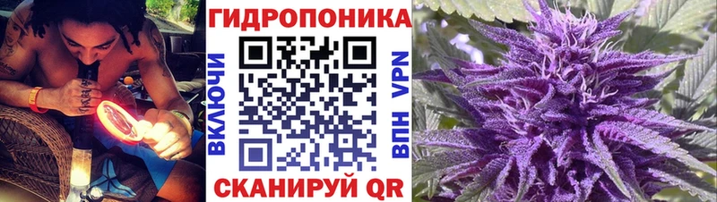 купить наркоту  Радужный  Марихуана SATIVA & INDICA 